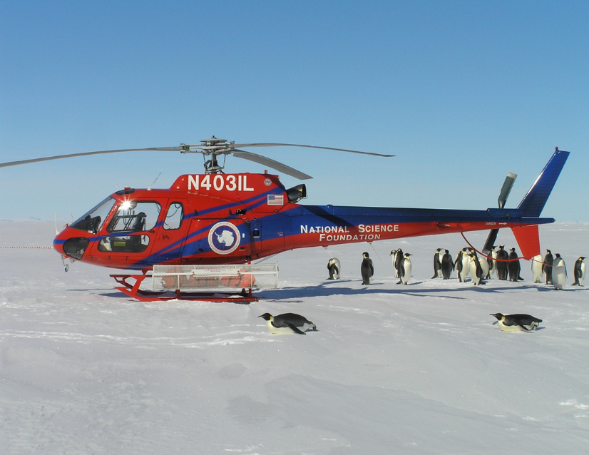 National Science Foundation helicopter in Antarctica with penguins